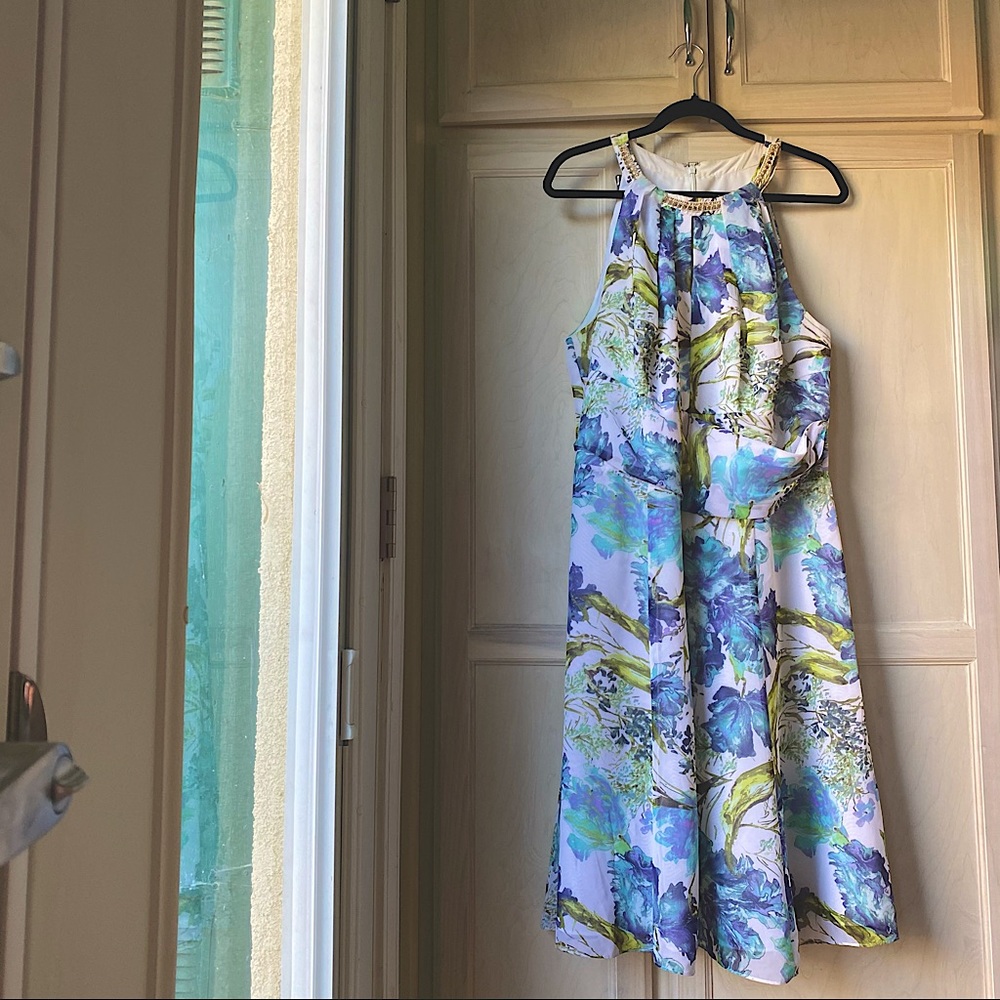 Adrianna Papell Spring Dress